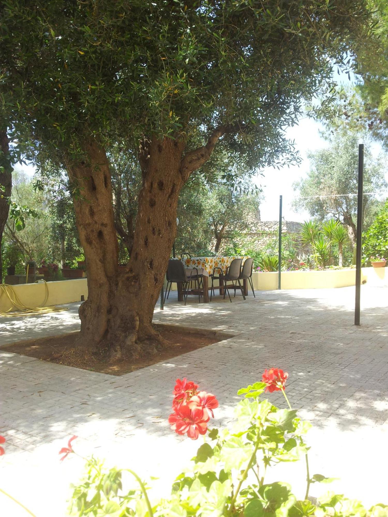 Agriturismo Tenuta La Siesta Gallipoli Exteriér fotografie