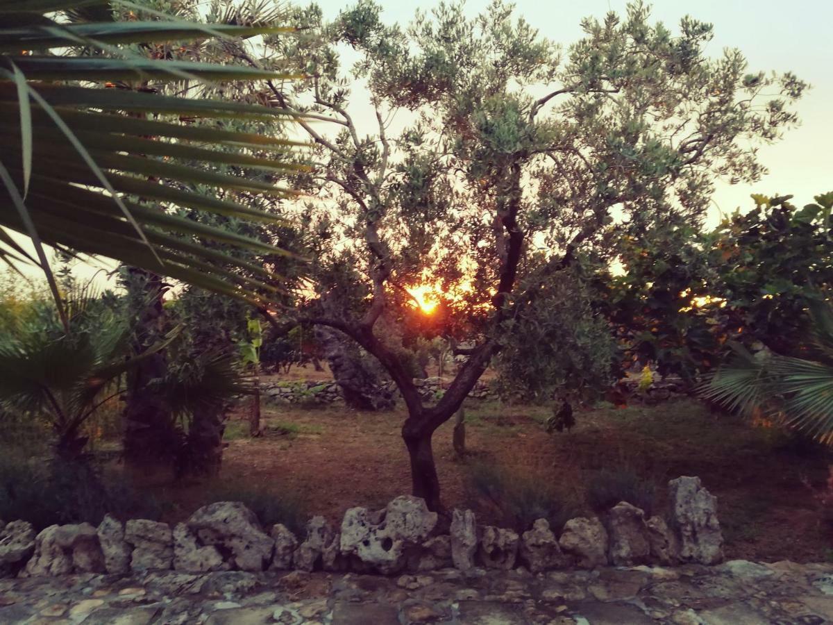 Agriturismo Tenuta La Siesta Gallipoli Exteriér fotografie